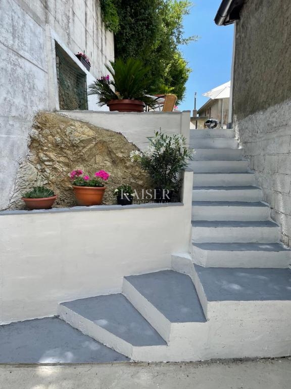 Istra, Plomin - hiša 500m od morja, 270 m2