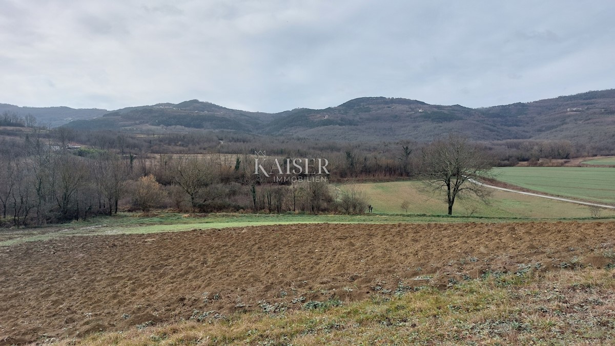 Istra, Motovun - gradbena parcela T2, pogled na Motovun