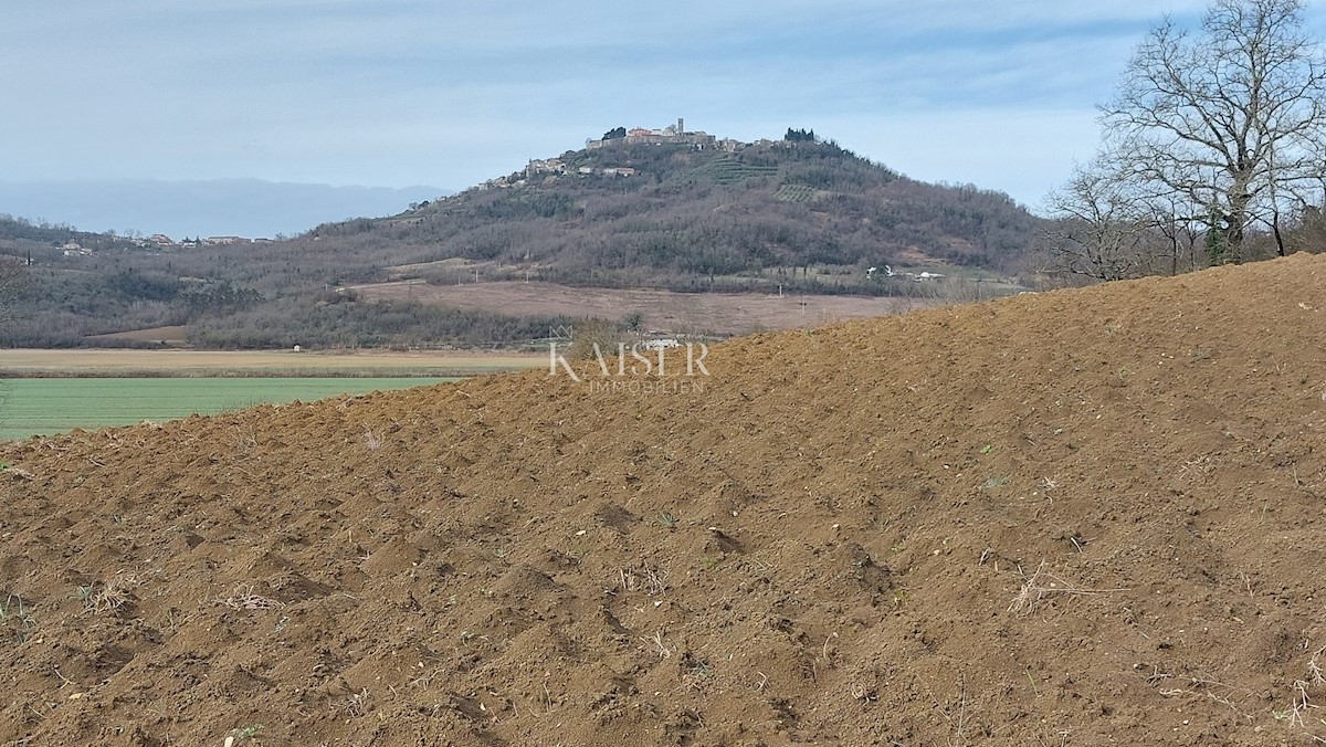 Istra, Motovun - gradbena parcela T2, pogled na Motovun