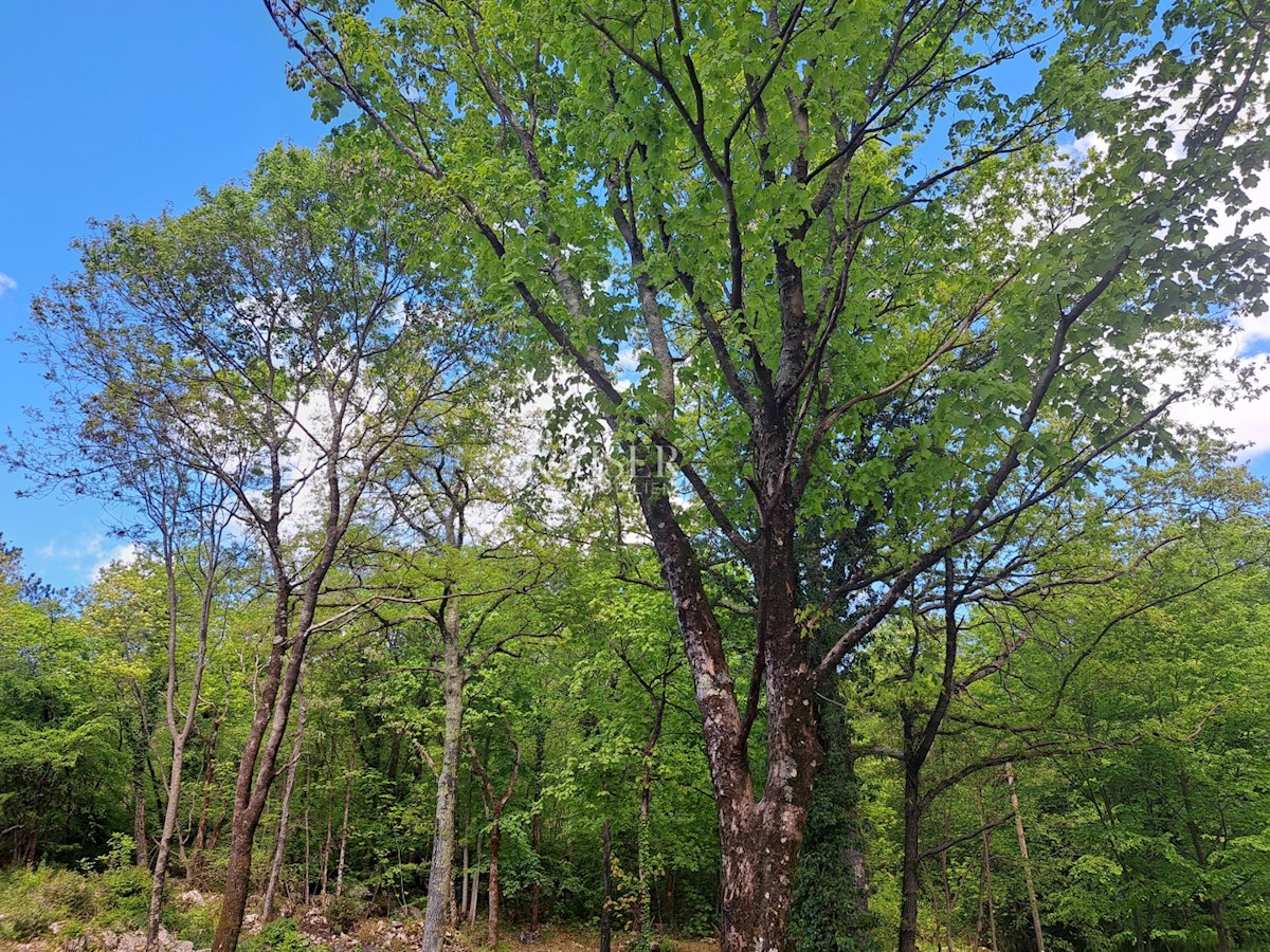  Zazidljivo zemljišče Veprinac, Opatija - Okolica, 2.022m2