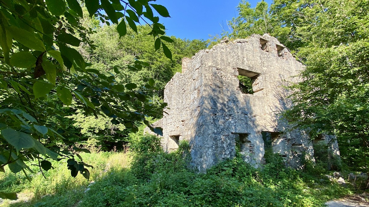 Opatija, Poklon - Vila v naravnem parku s pogledom na morje