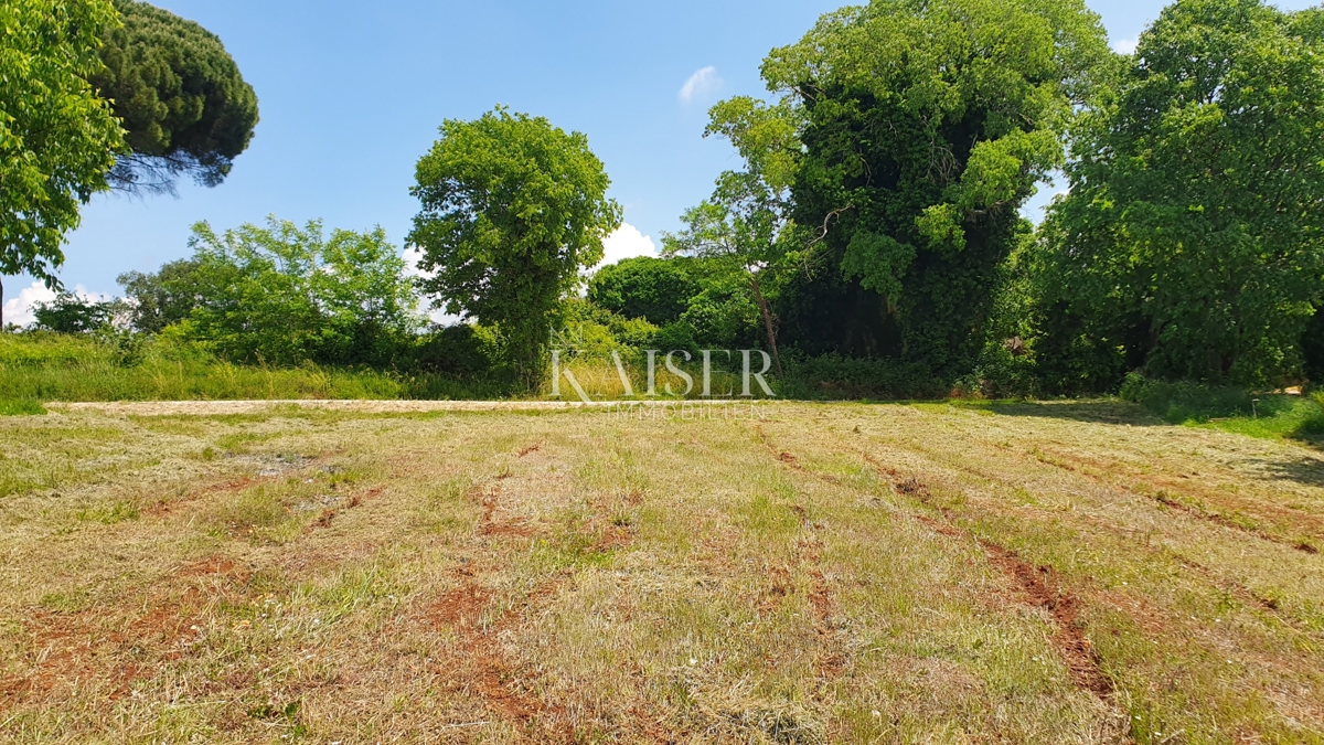 Istra - Kaštelir, gradbeno zemljišče s komunalno opremo 1550m2