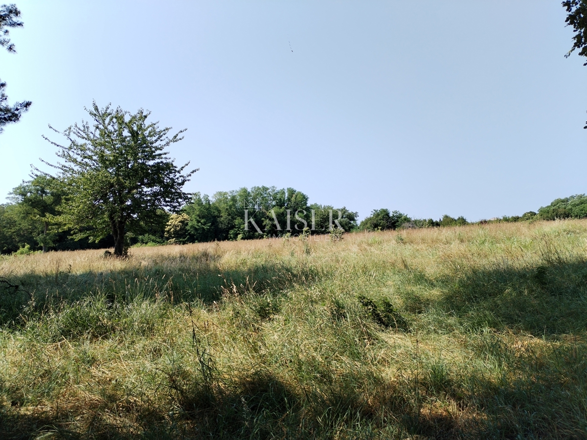 Kmetijsko zemljišče Buzet, 36.512m2