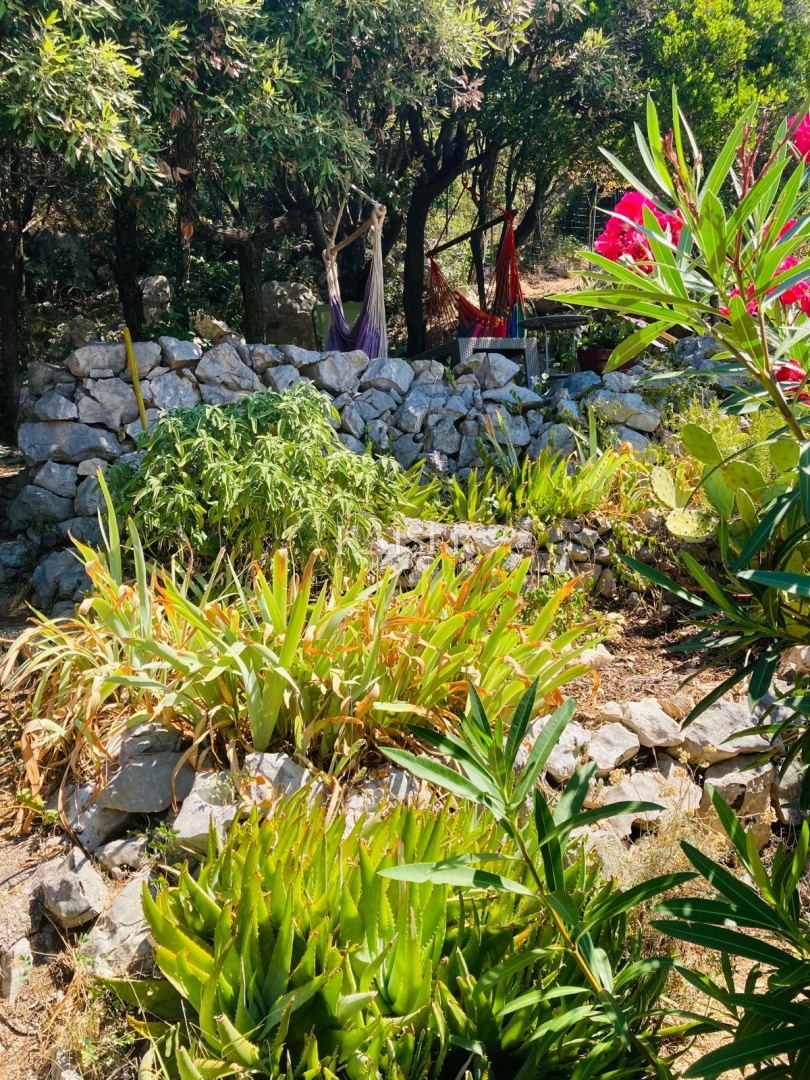 Otok Cres - Zaglav - apartma s pogledom na morje