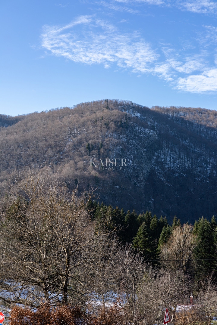 Delnice - vila z bazenom 