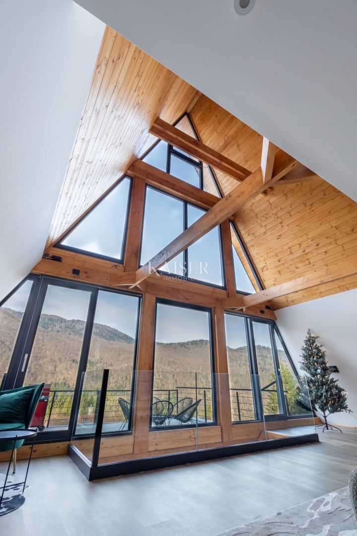 Delnice - vila z bazenom 