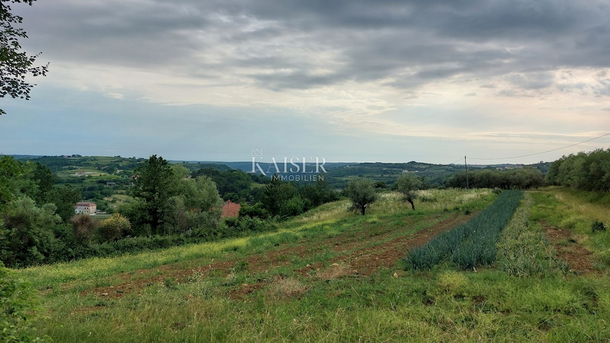  Zazidljivo zemljišče Grožnjan, 1.550m2