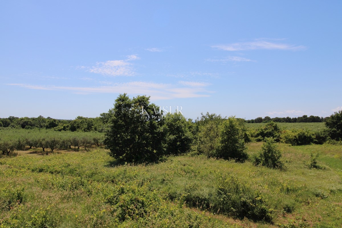 Istra - Poreč, gradbeno zemljišče 500 m do morja, T1 cona