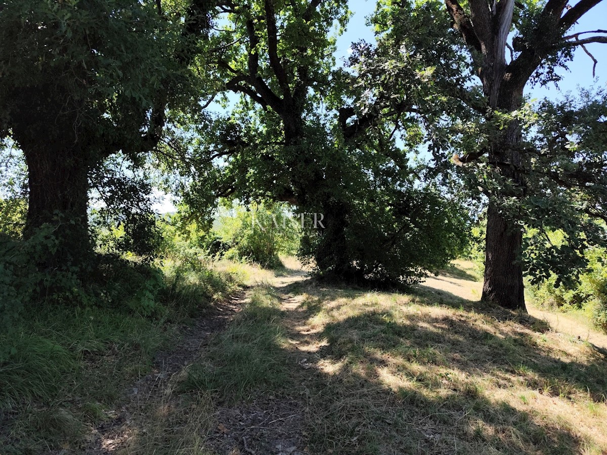 Istra, Buzet - Nepremičnina v osrednji Istri