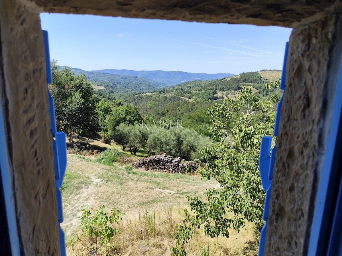 Istra, Buzet - Nepremičnina v osrednji Istri