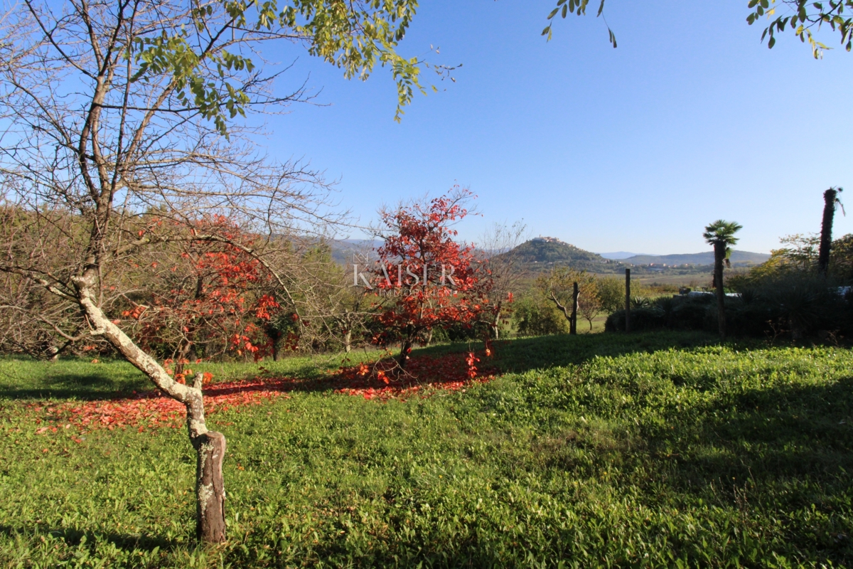 Istra - Motovun, kmetijsko zemljišče, pogled na Motovun