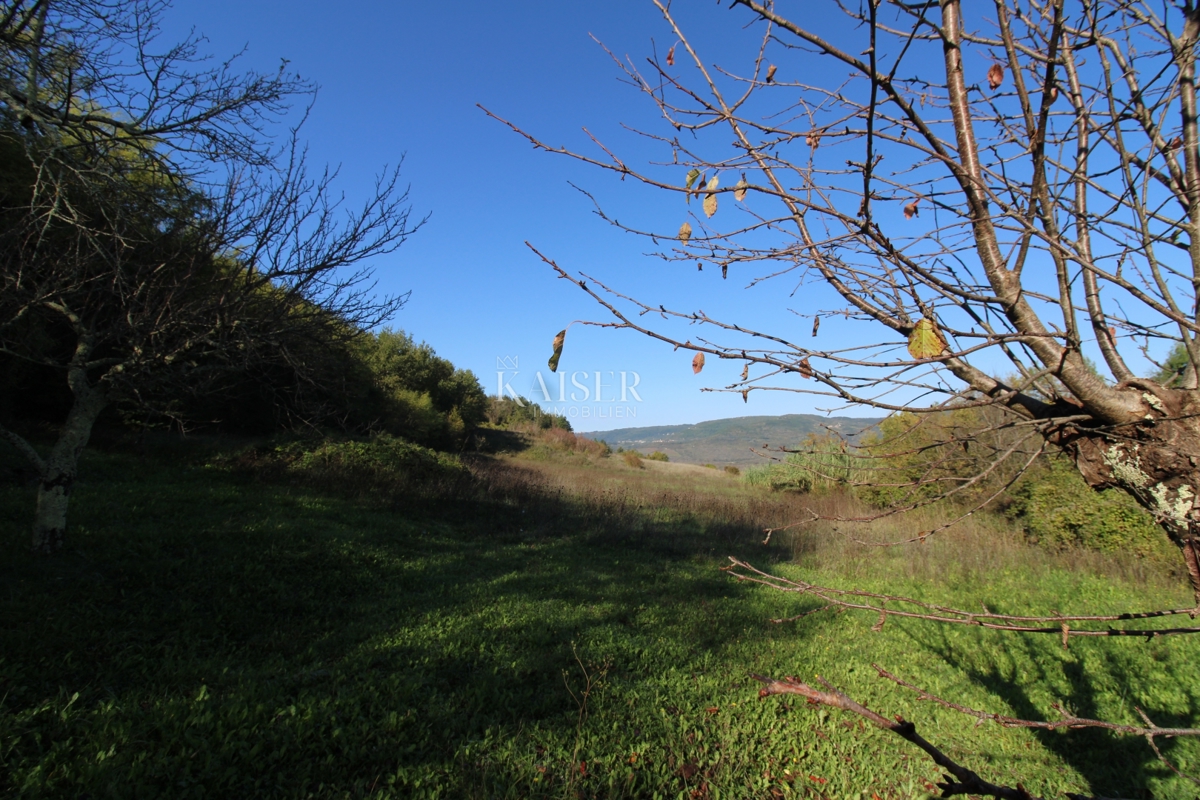 Istra - Motovun, kmetijsko zemljišče, pogled na Motovun