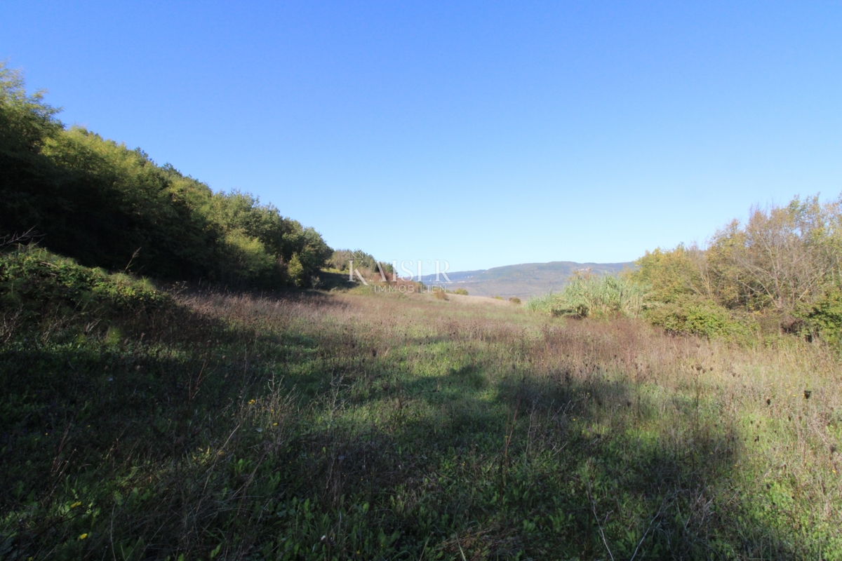 Istra - Motovun, kmetijsko zemljišče, pogled na Motovun