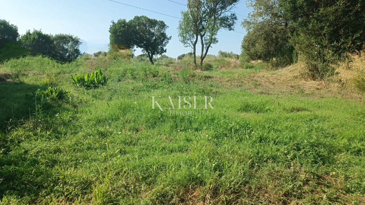 Istra, Pula - gradbeno zemljišče 540m2 s projektom na mirni lokaciji