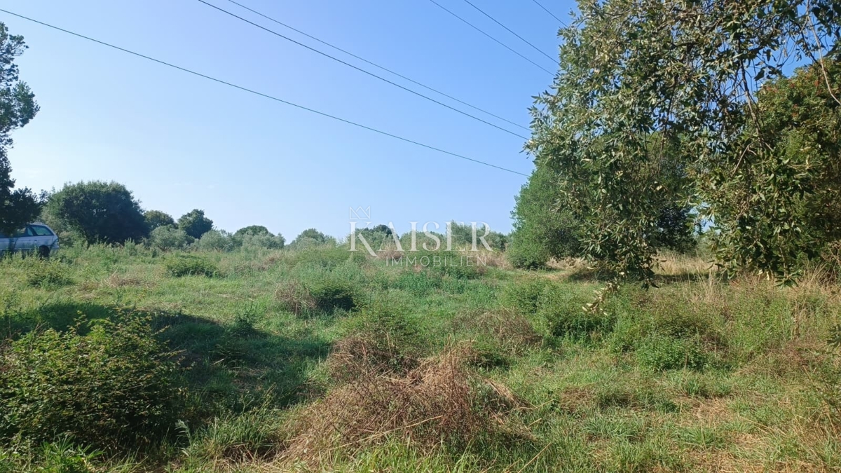 Istra, Pula - gradbeno zemljišče 540m2 s projektom na mirni lokaciji