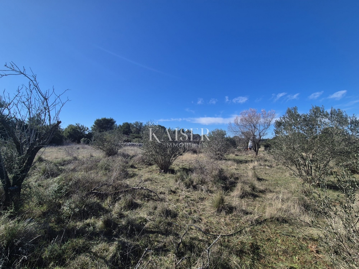  Zazidljivo zemljišče Novi Bokanjac, Zadar, 3.169m2