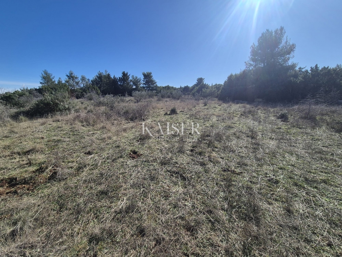  Zazidljivo zemljišče Novi Bokanjac, Zadar, 3.169m2