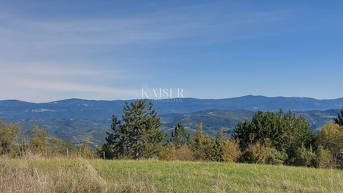 Istra, Motovun, zazidljivo zemljišče za luksuzne vile