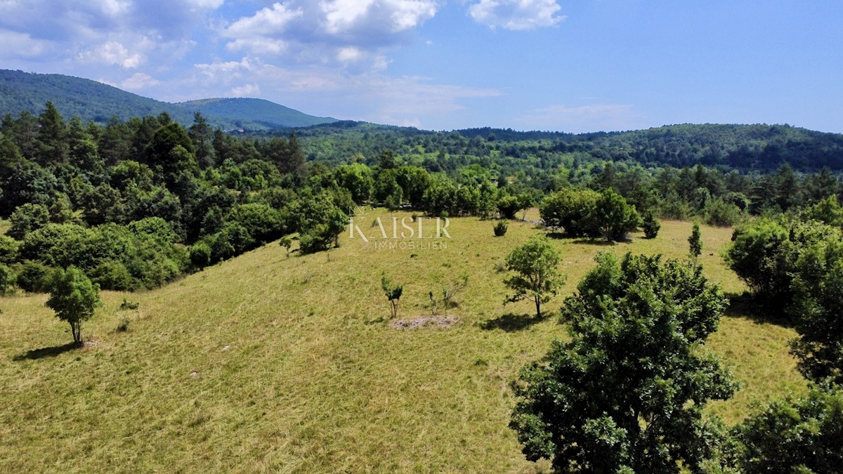  Zazidljivo zemljišče Rupa, Matulji, 42.280m2