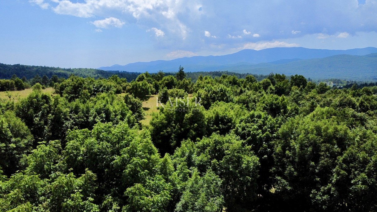  Zazidljivo zemljišče Rupa, Matulji, 42.280m2