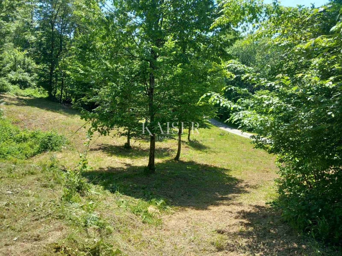Kmetijsko zemljišče Kamensko, Vrbovsko, 7.176m2