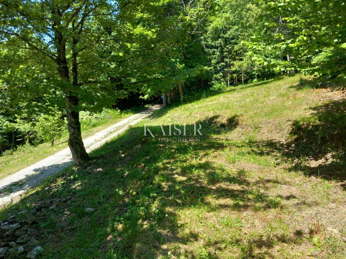 Kmetijsko zemljišče Kamensko, Vrbovsko, 7.176m2