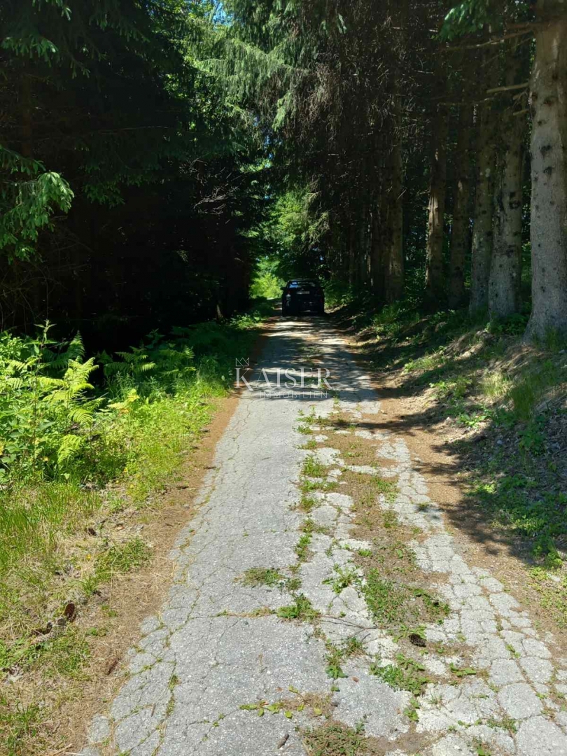 Kmetijsko zemljišče Kamensko, Vrbovsko, 7.176m2