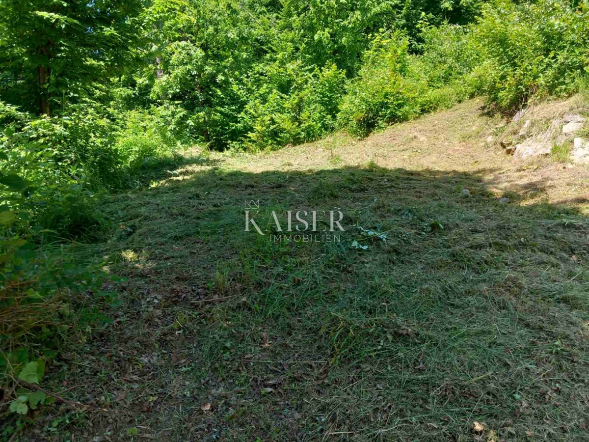 Kmetijsko zemljišče Kamensko, Vrbovsko, 7.176m2