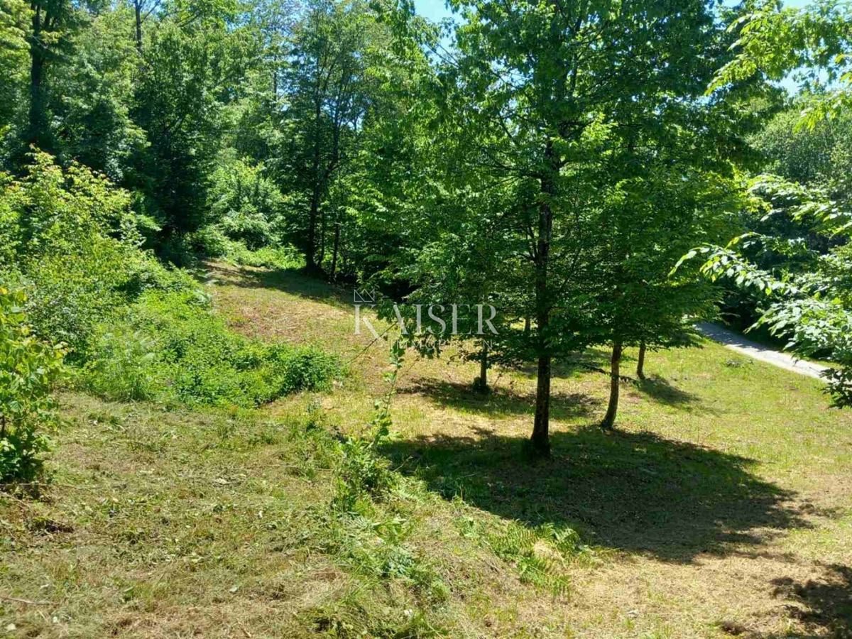 Kmetijsko zemljišče Kamensko, Vrbovsko, 7.176m2