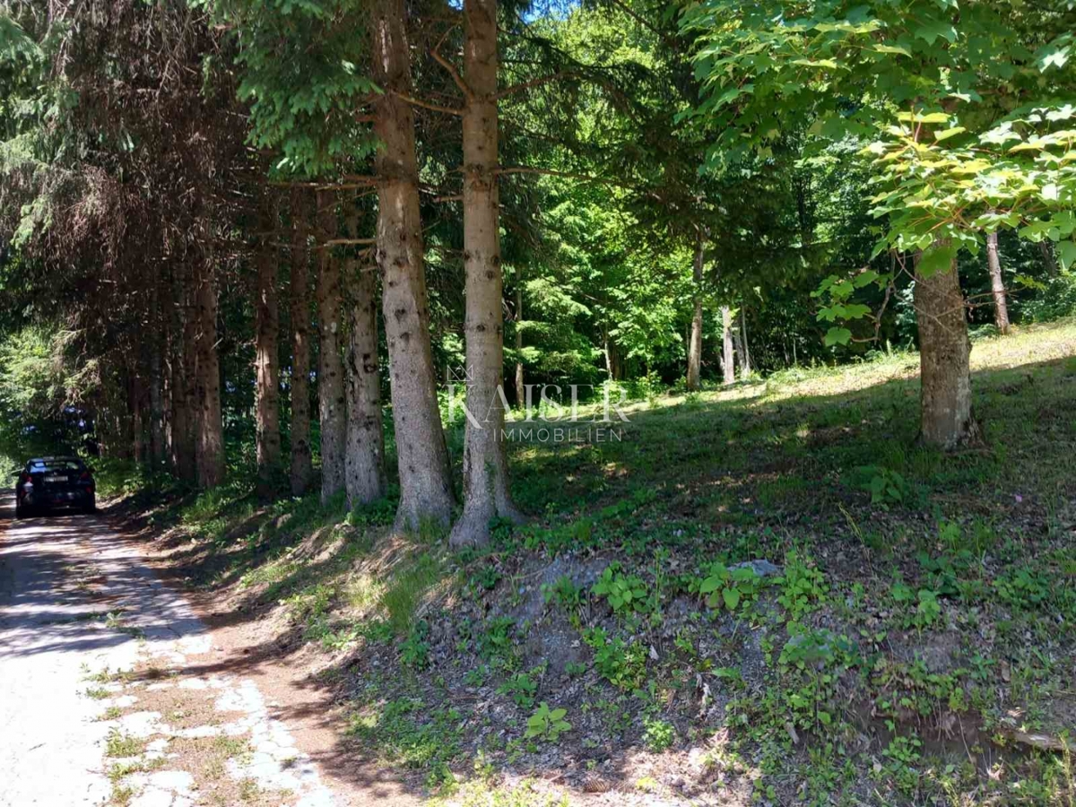 Kmetijsko zemljišče Kamensko, Vrbovsko, 7.176m2