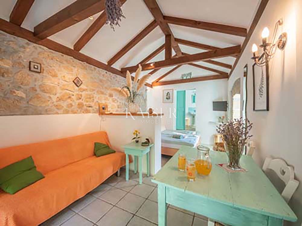 Brseč, kamnita vila z bazenom