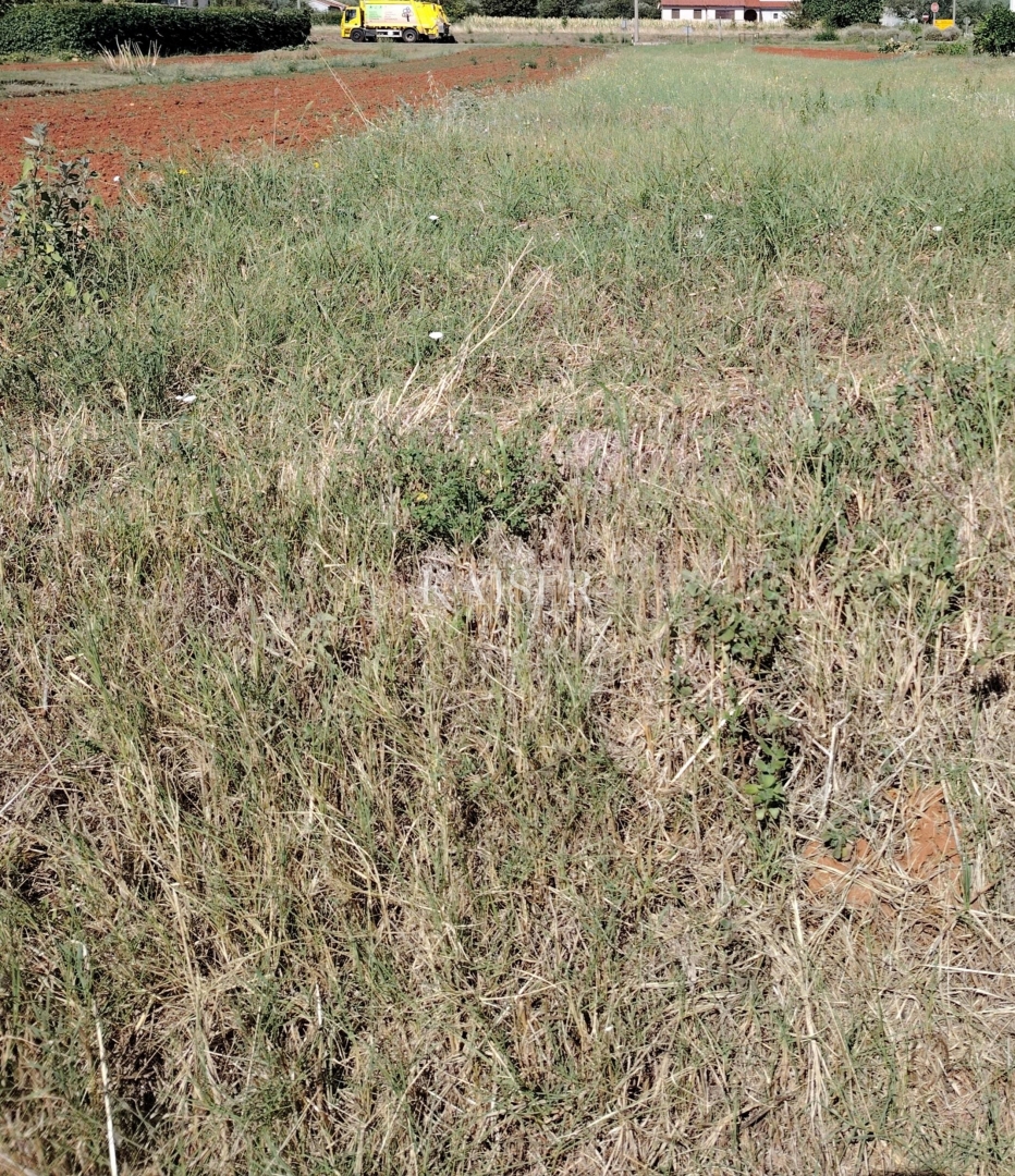 Istra, Marčana - zazidljivo zemljišče