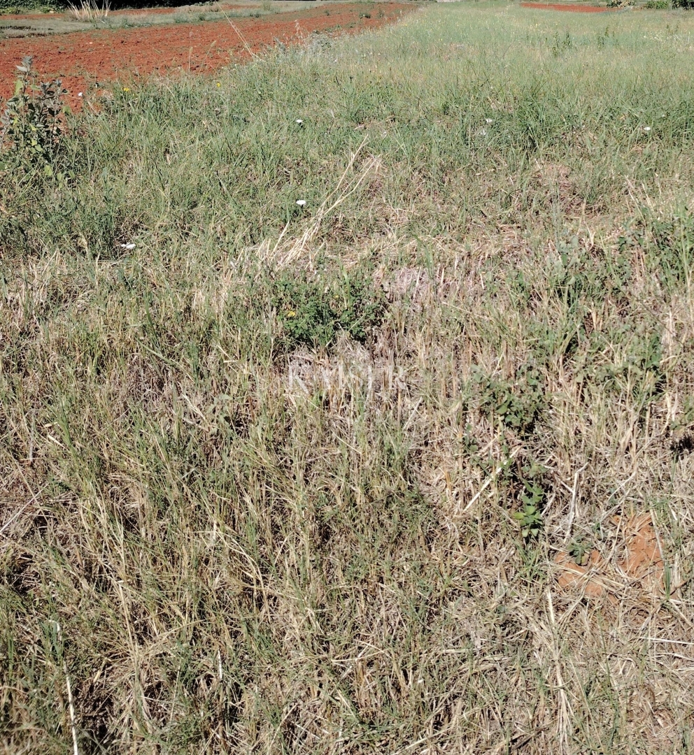 Istra, Marčana - zazidljivo zemljišče