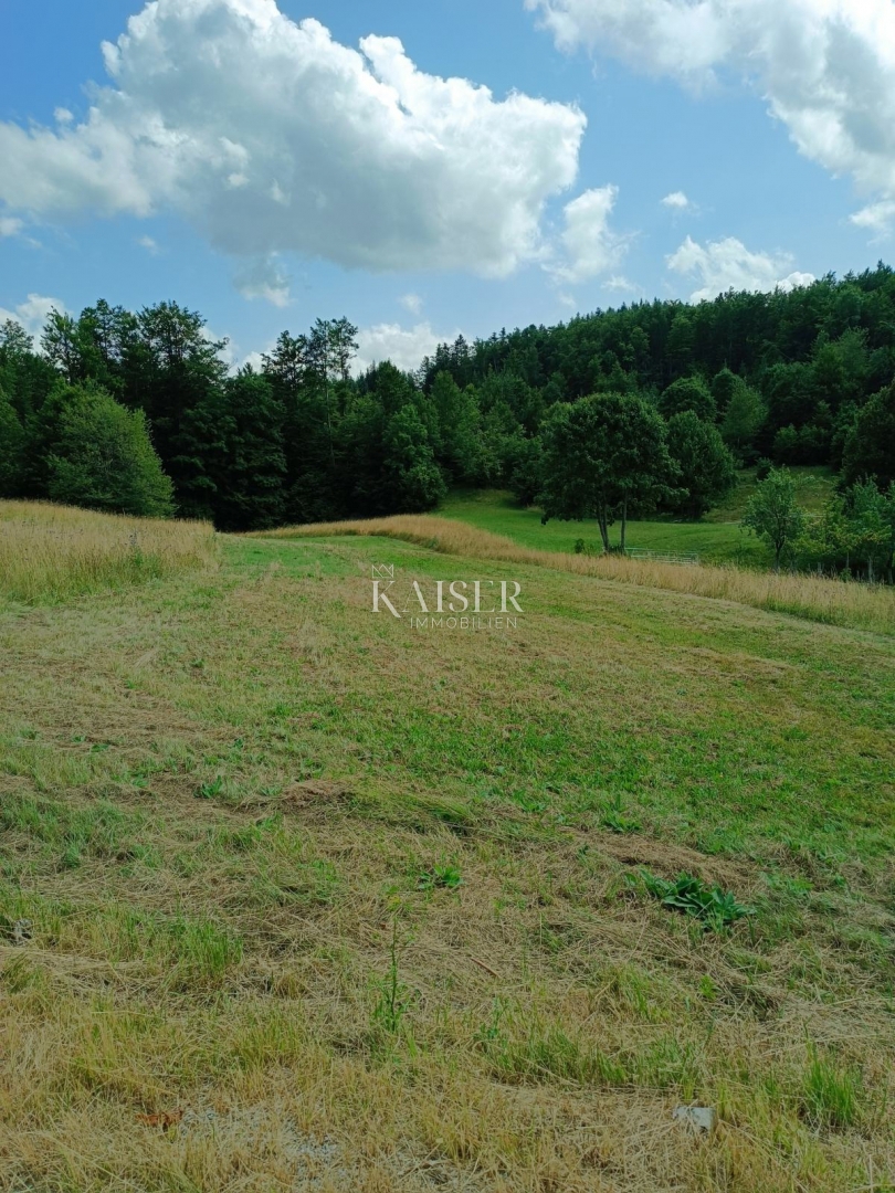 Ravna Gora, Stari Laz - gradbeno zemljišče 1500 m2 z gradbenim dovoljenjem