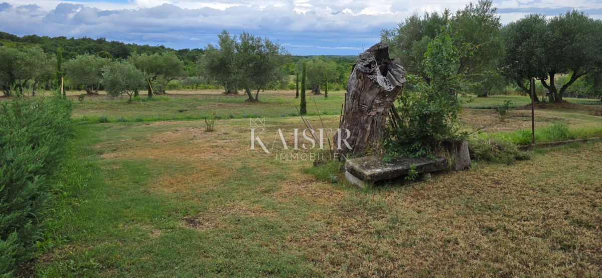 Istra, Jurićani, Edinstvena priložnost!!!! Kamnita hiša v naravi z zemljiščem!!!!