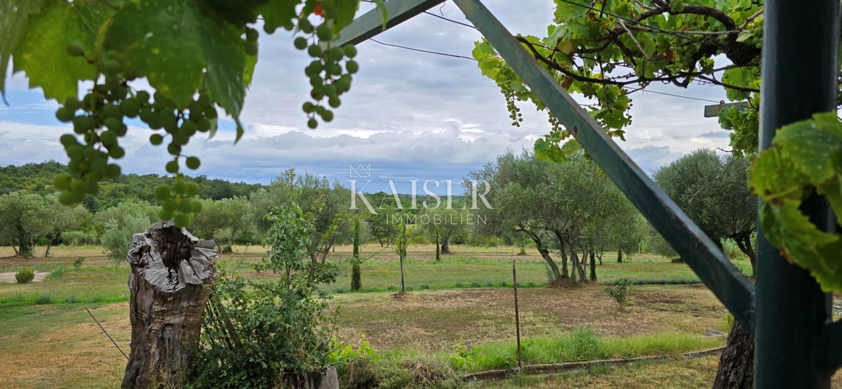 Istra, Jurićani, Edinstvena priložnost!!!! Kamnita hiša v naravi z zemljiščem!!!!