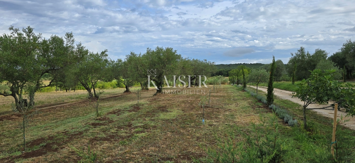 Istra, Jurićani, Edinstvena priložnost!!!! Kamnita hiša v naravi z zemljiščem!!!!