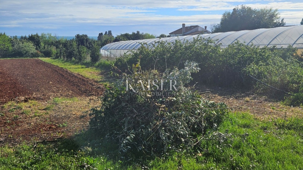  Zazidljivo zemljišče Zambratija, Umag, 5.557m2