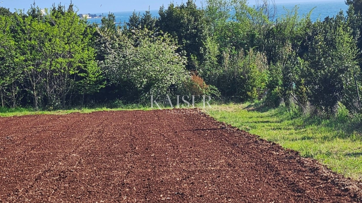  Zazidljivo zemljišče Zambratija, Umag, 5.557m2