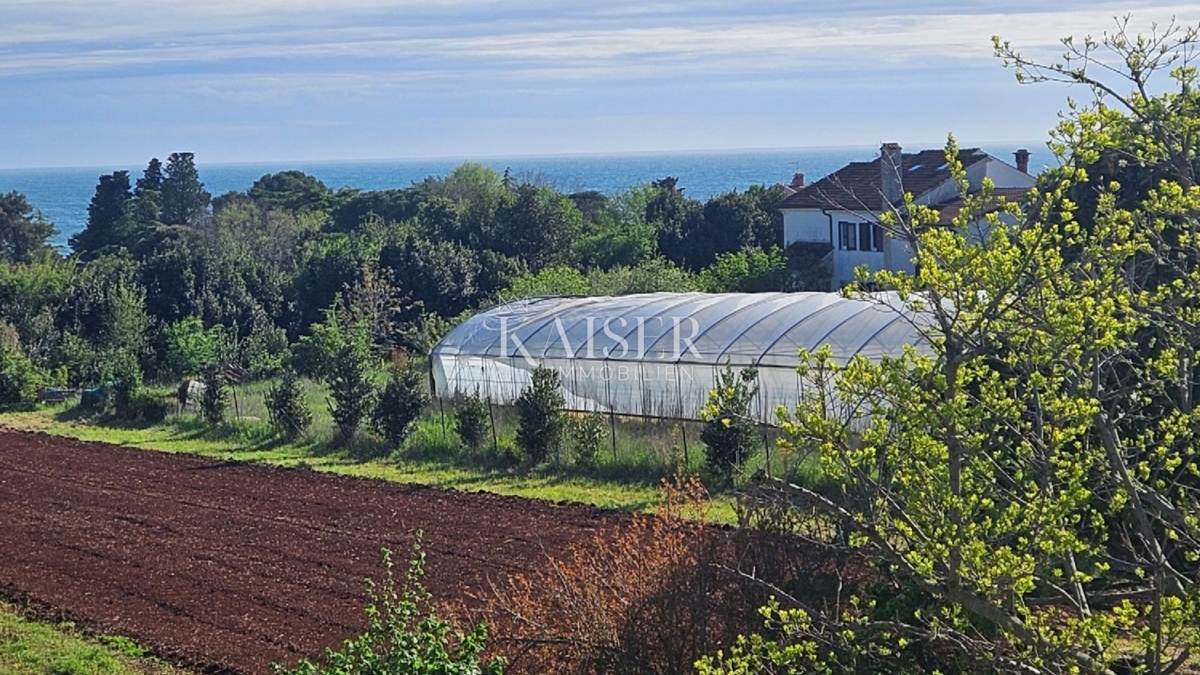  Zazidljivo zemljišče Zambratija, Umag, 5.557m2