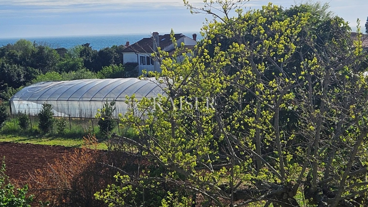  Zazidljivo zemljišče Zambratija, Umag, 5.557m2