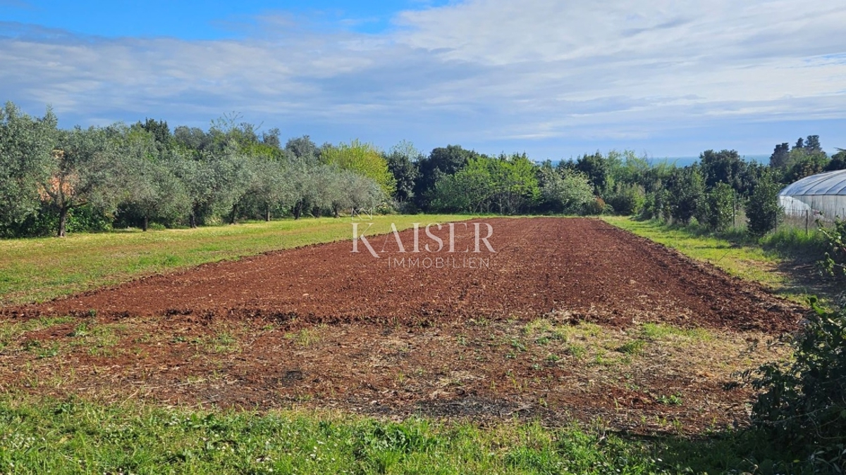  Zazidljivo zemljišče Zambratija, Umag, 5.557m2