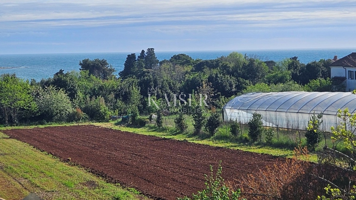  Zazidljivo zemljišče Zambratija, Umag, 5.557m2