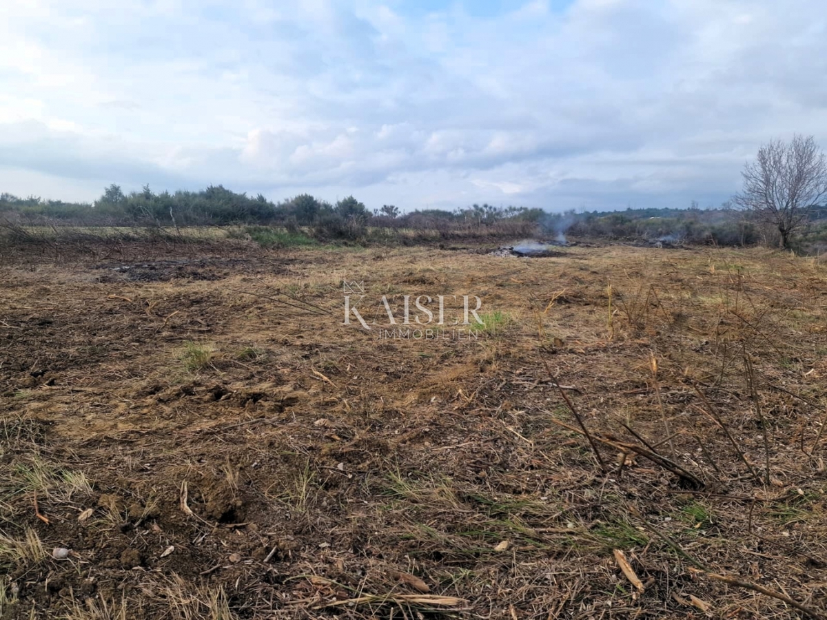 Zadar - Krneza: kmetijska zemljišča, ogromen potencial