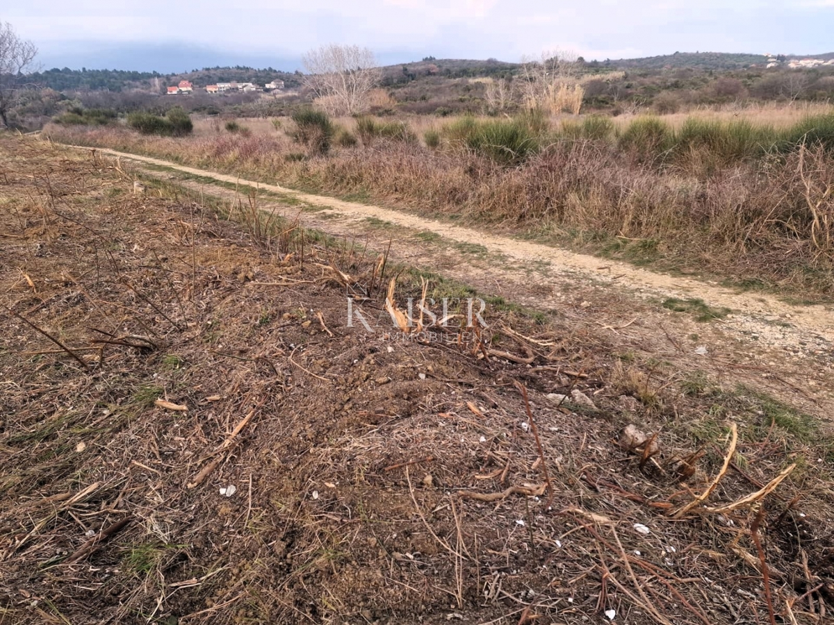 Zadar - Krneza: kmetijska zemljišča, ogromen potencial