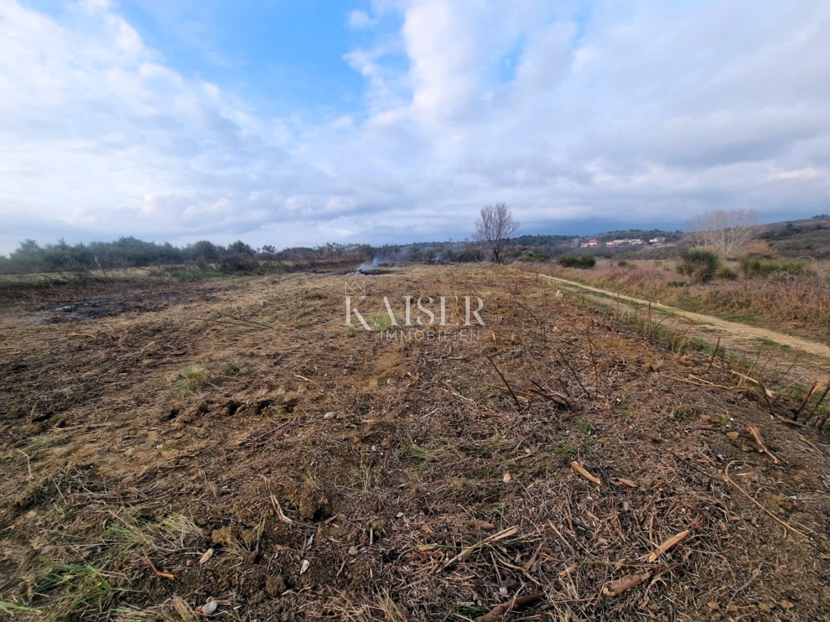 Zadar - Krneza: kmetijska zemljišča, ogromen potencial