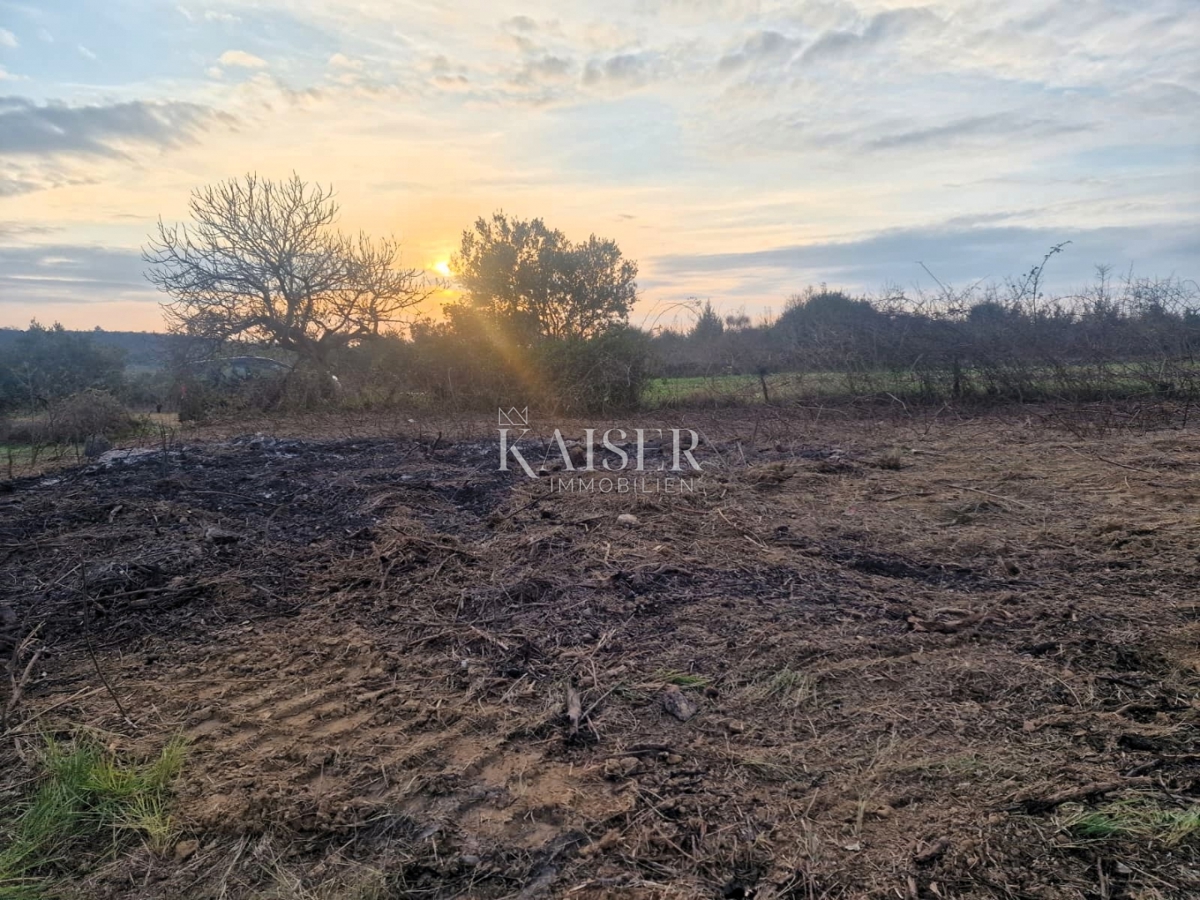 Zadar - Krneza: kmetijska zemljišča, ogromen potencial