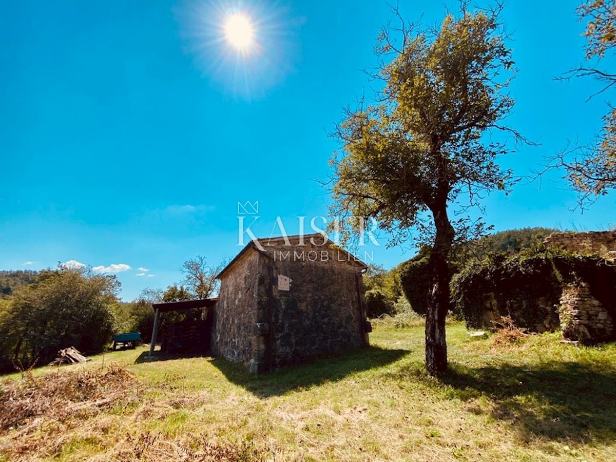 Buzet, Roč - Stara kamnita hiša z majhnim vrtom