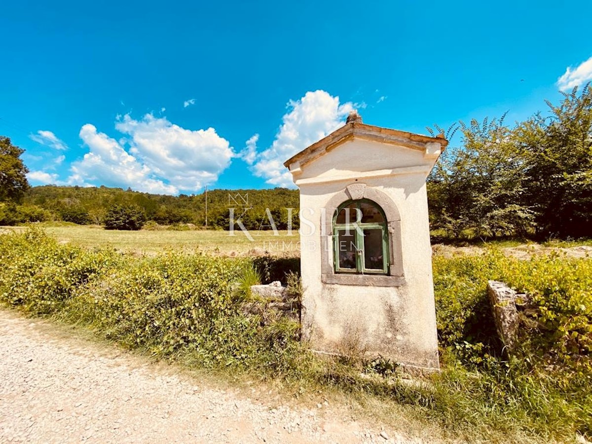 Buzet, Roč - Stara kamnita hiša z majhnim vrtom