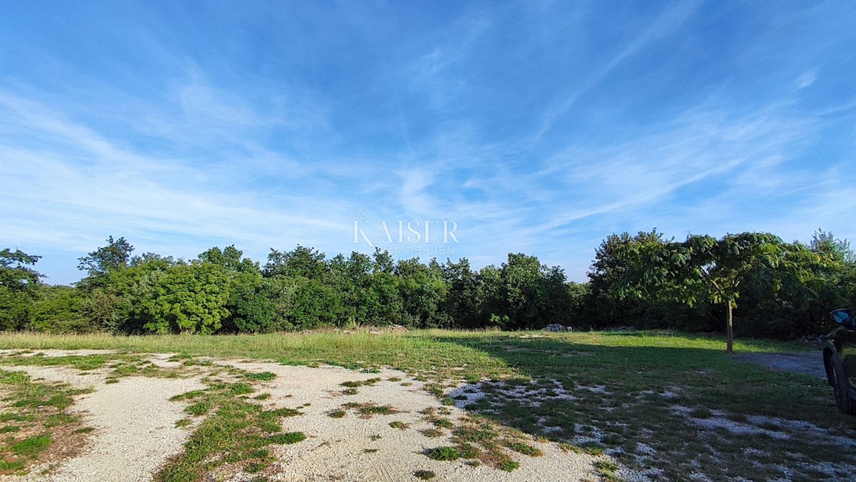 Marčana, okolica - posestvo s hišo in gradbiščem, 20.000 m2